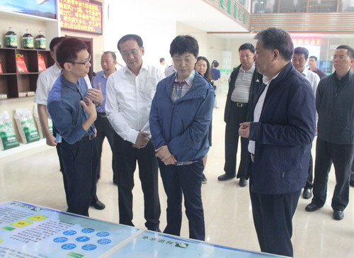 中華全國供銷合作總社領導在安義縣綠能農(nóng)業(yè)發(fā)展公司調(diào)研